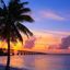 L’ultime road trip en Floride