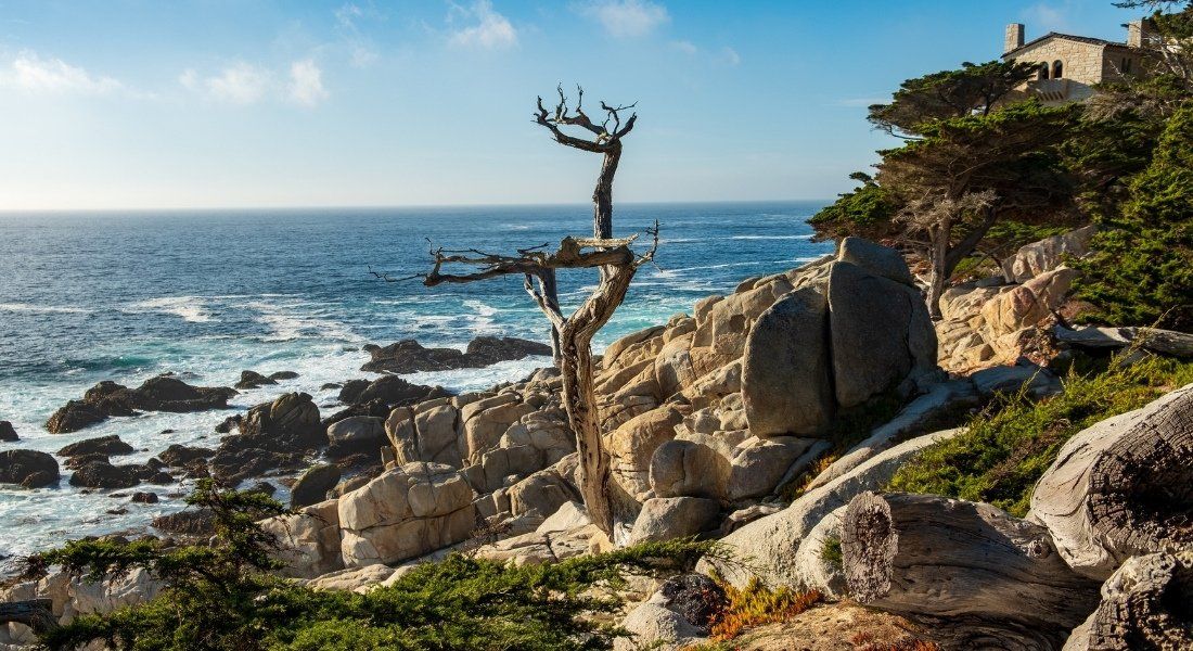 Unsplash - Anukrati Omar 17 mile drive en Californie