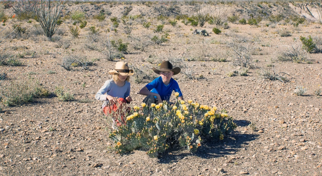 Big Bend with kids Kids in Big Bend National Park