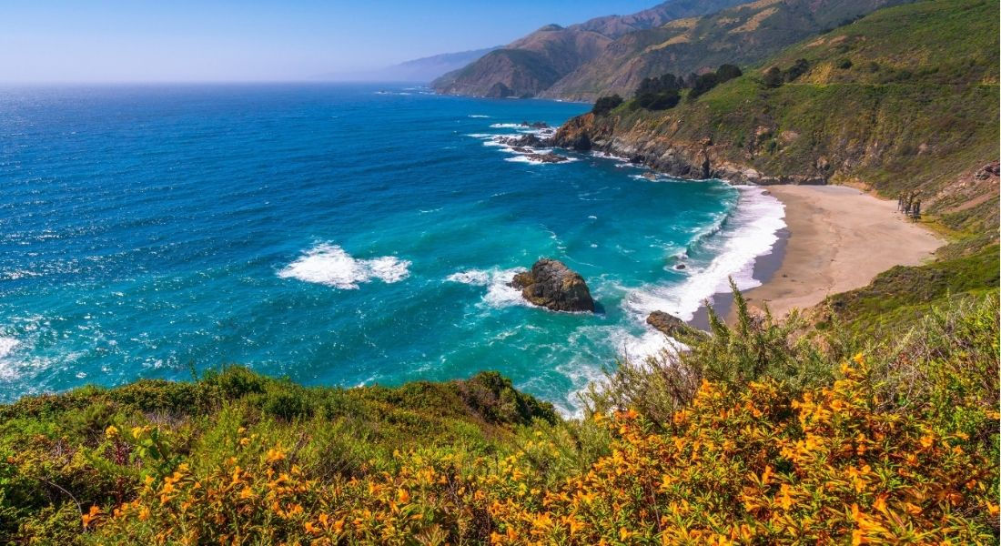 Small turquoise water cove with a cypress tree in the foreground