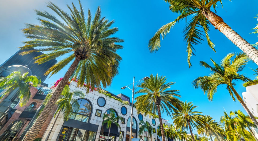 The palm trees of Rodeo Drive in Beverly Hills Beverly Hills, Los Angeles