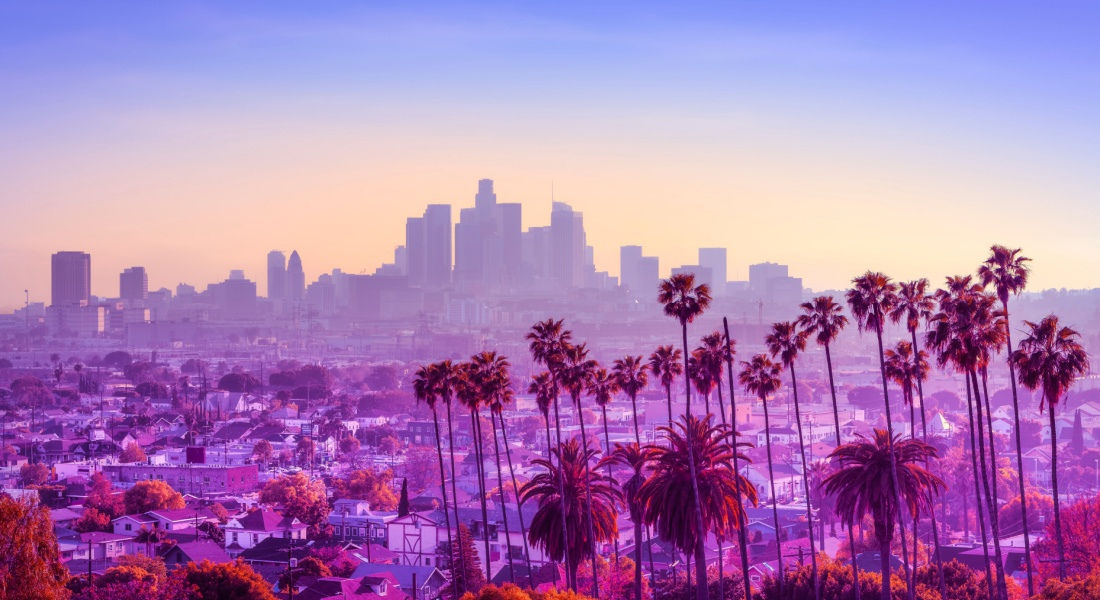View of the Los Angeles skyline from the Hollywood Hills Los Angeles panorama
