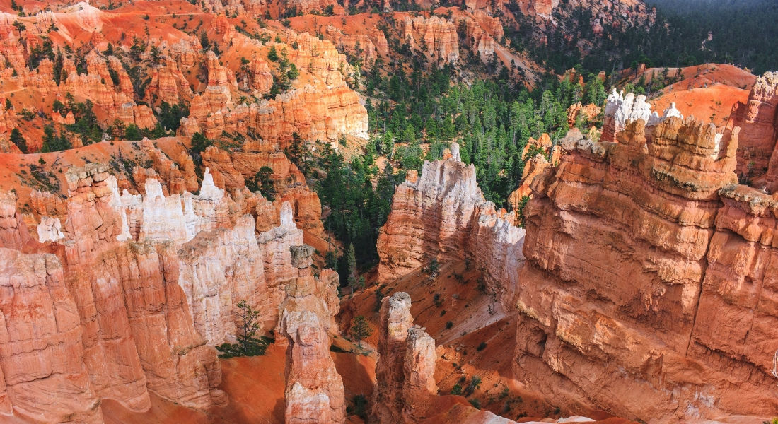 Vue aérienne des hoodoos du parc national de Bryce Canyon