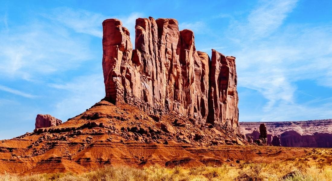 Shutterstock-1673378554 @Harry Beugelik Animaux à Monument Valley