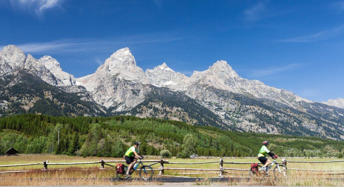 iStock-1187891949@Imre Cikajlo Cyclistes dans le parc national de Grand Teton