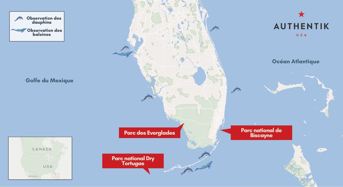 activités d'observation de la faune en Floride localisation