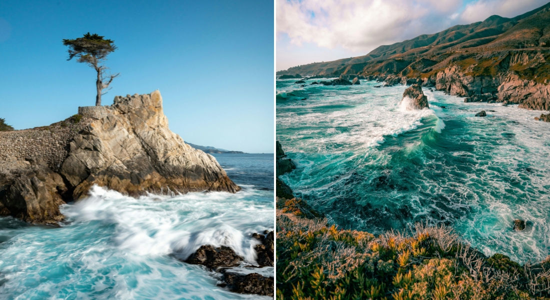 Côte Californienne Lone Cypress sur la 17-mile-Drive et Océan Pacifique