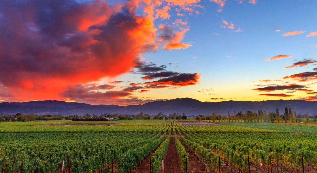 napa valley : map sonoma valley