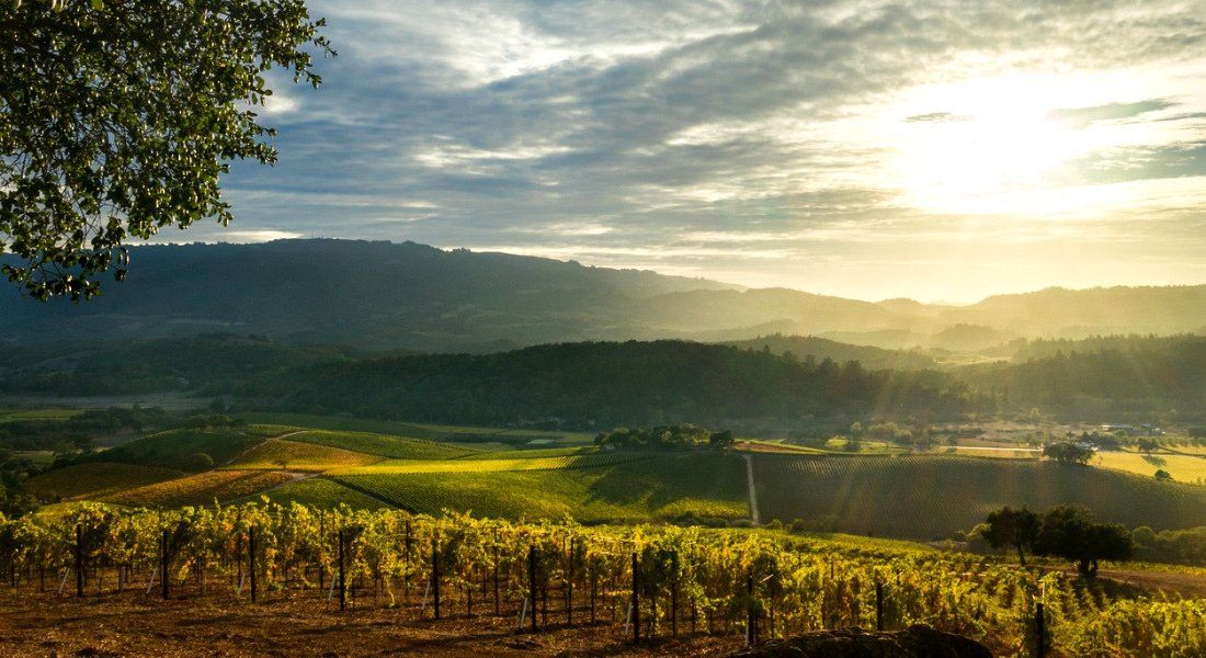 napa valley californie wine route napa valley wine