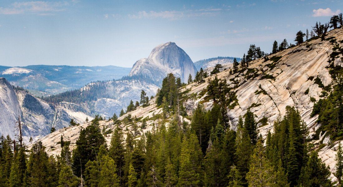 Shutterstock-1053111587 @Tampa tioga road ouverture 2020