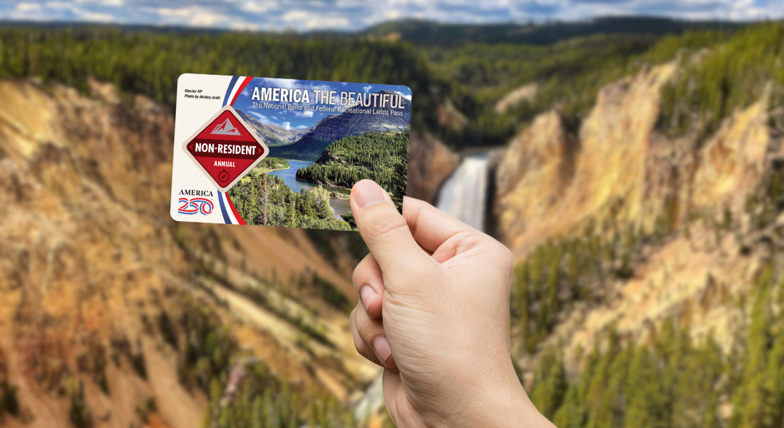 Pass America The Beautiful Main qui tient le pass america the beautiful 2026 dans un parc national