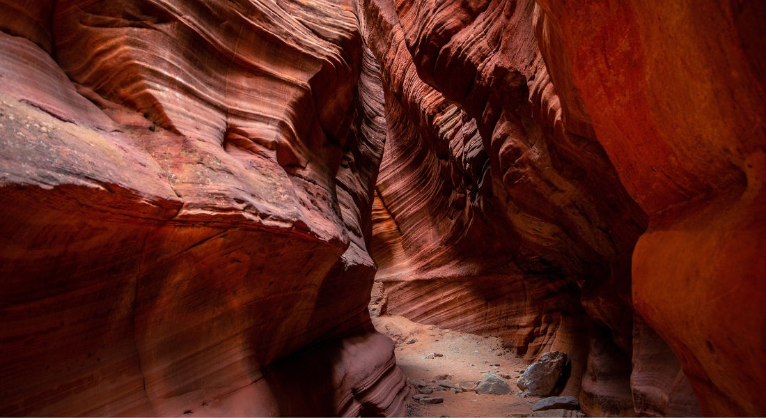 Shutterstock_1757822402 guide zion national park