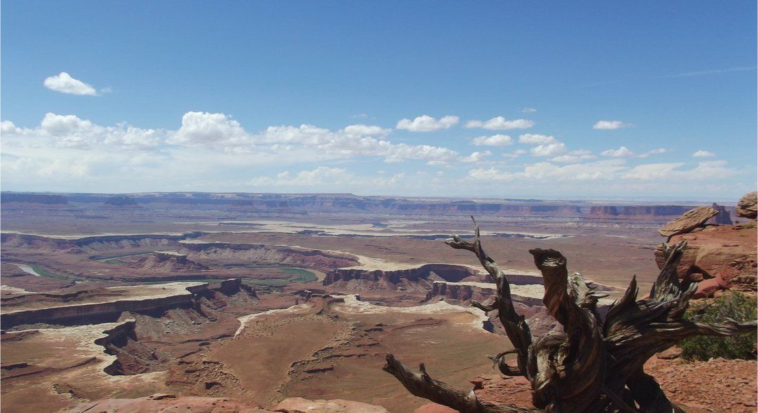 Tableau Voiture verte rétro dans le désert du Colorado pas cher