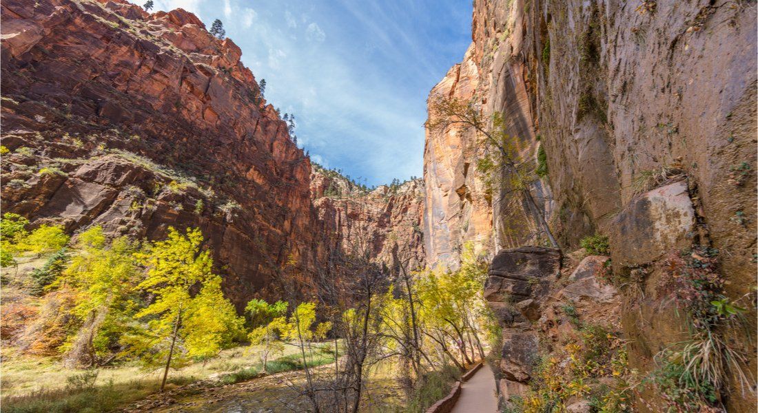 @Roman Khomlyak - shutterstock_539306920 Chemin de randonnée le long de la rivière facile avant le départ pour les Narrows à Zion