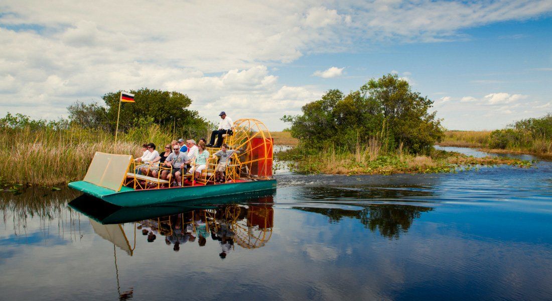 Observation de la vie sauvage Excursion en bateau dans les Everglades