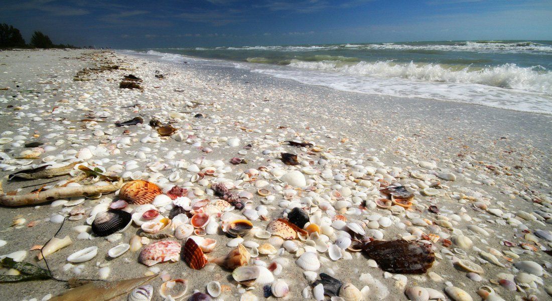 Sanibel Plage Sanibel en Floride