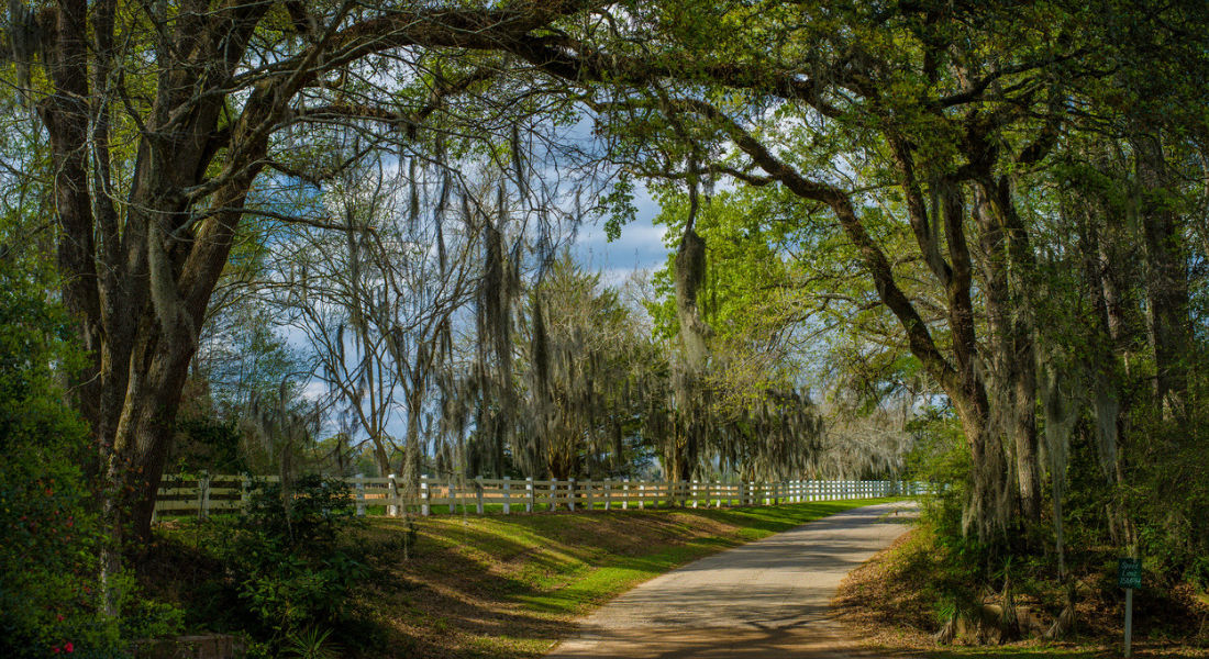 Plantation Road and Cajun country Plantation map, Louisiana