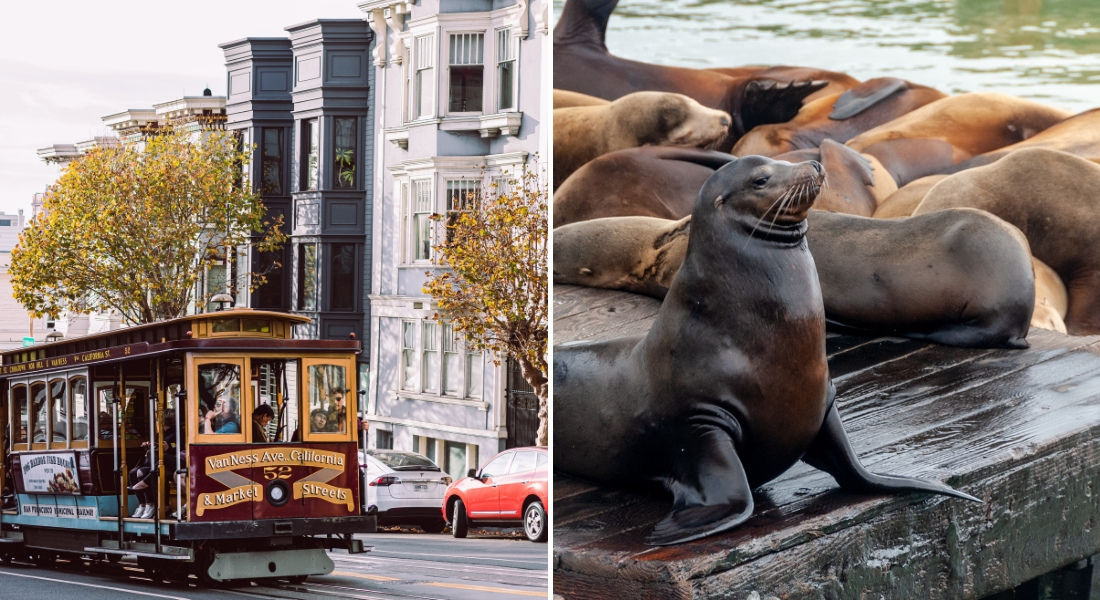 One-week California tour Cable car in the streets of San Francisco