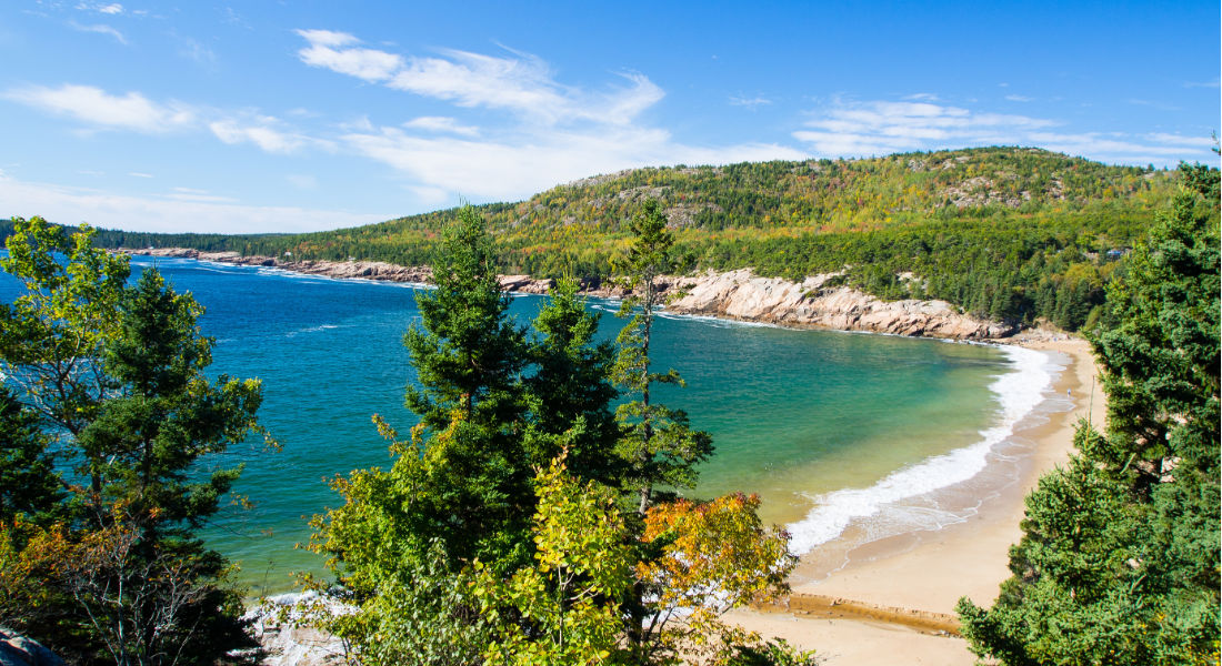 Sand Beach Bar Harbor dans l'état du Maine aux USA Plage sauvage bordée de sapins