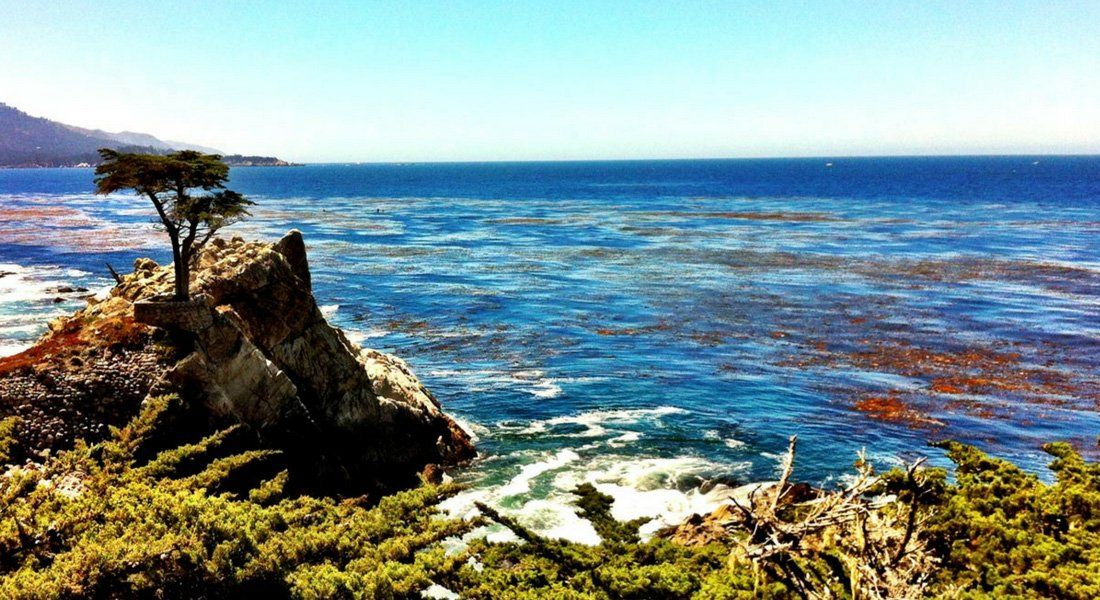 ultimate california road trip best USA tour