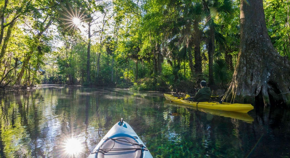 Visiter La Floride : 5 Trésors à Découvrir Absolument