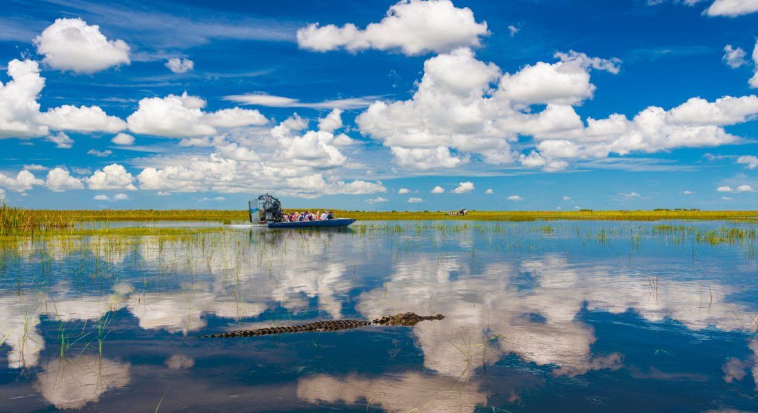 @allouphoto - Shutterstock_1569511462 Airboat dans le parc des Everglades