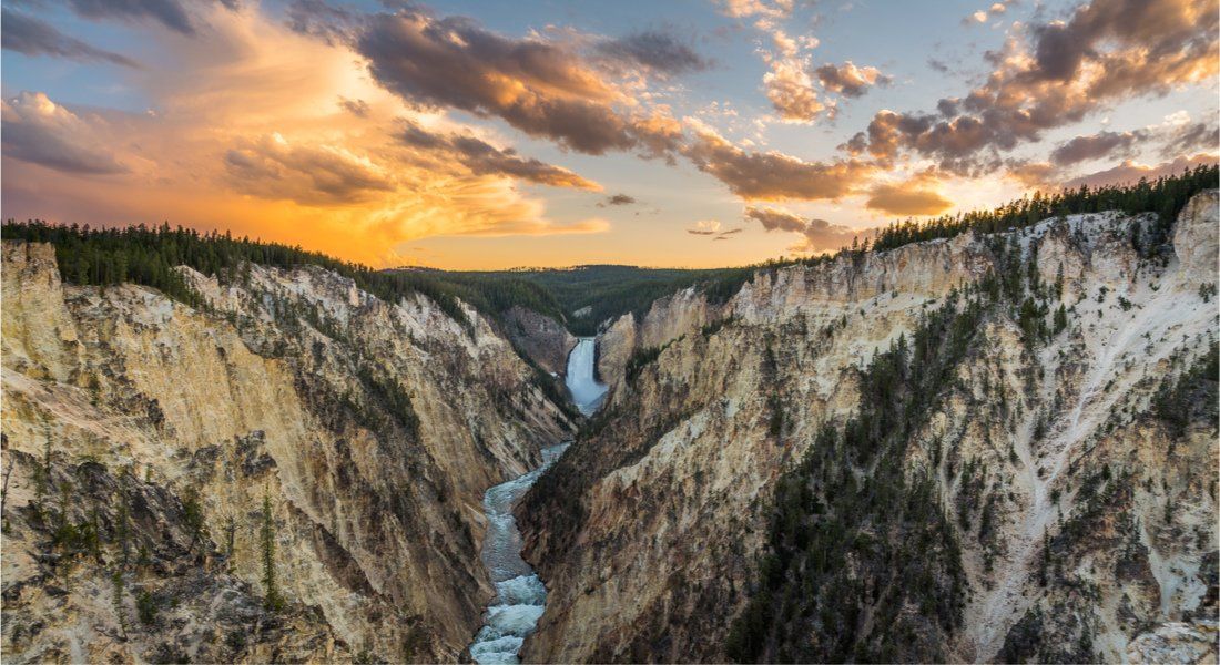 Visiter le parc de yellowstone le guide ultime