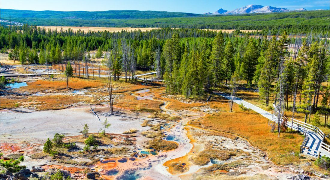 Visiter le parc de yellowstone le guide ultime