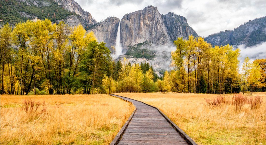 @haveseen - shutterstock_679397587 Boardwalk in Yosemite National Park