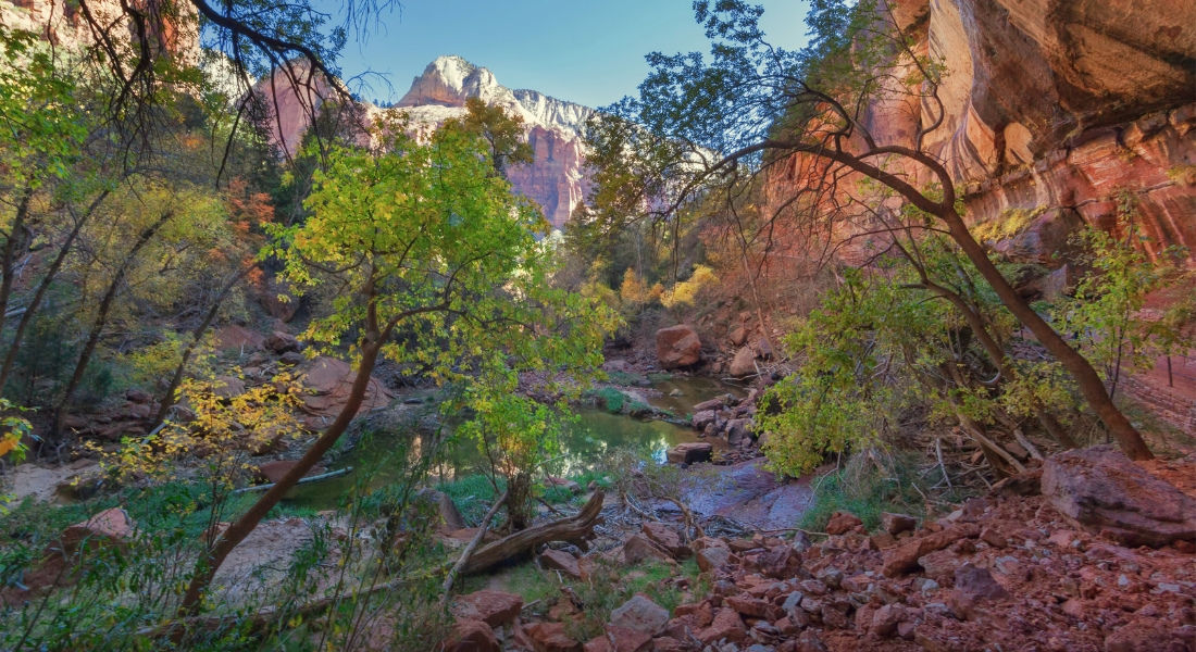 Circuit nature Ouest américain Sentier d'Emerald Pools à Zion