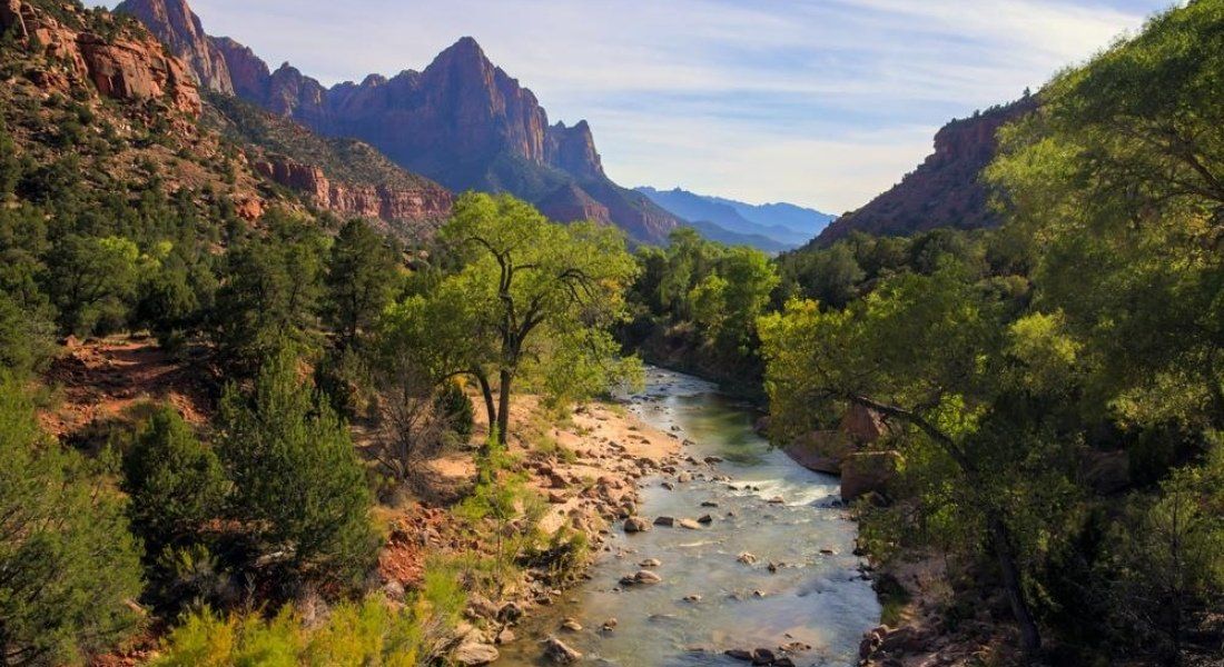 paradise landscape of Zion park