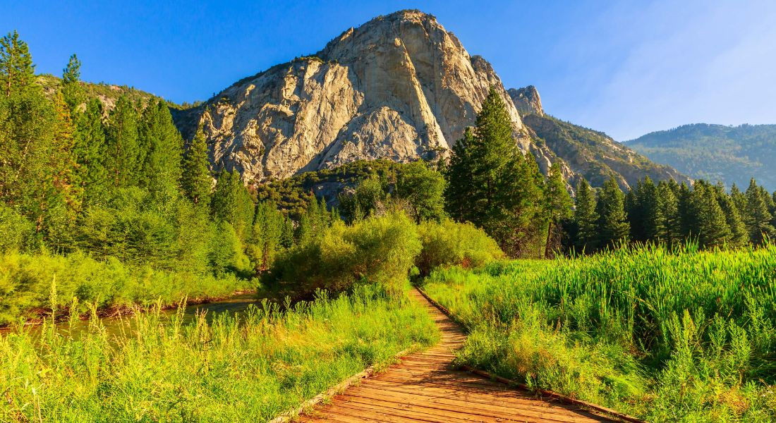 @Benny Marty - shutterstock_1788127223 Chemin de randonnée Zumwalt Meadow dans le parc de Kings Canyon en Californie