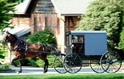 Communauté Amish