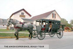 The Amish Experience, Buggy Tour