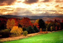 Green Mountains - Automne
