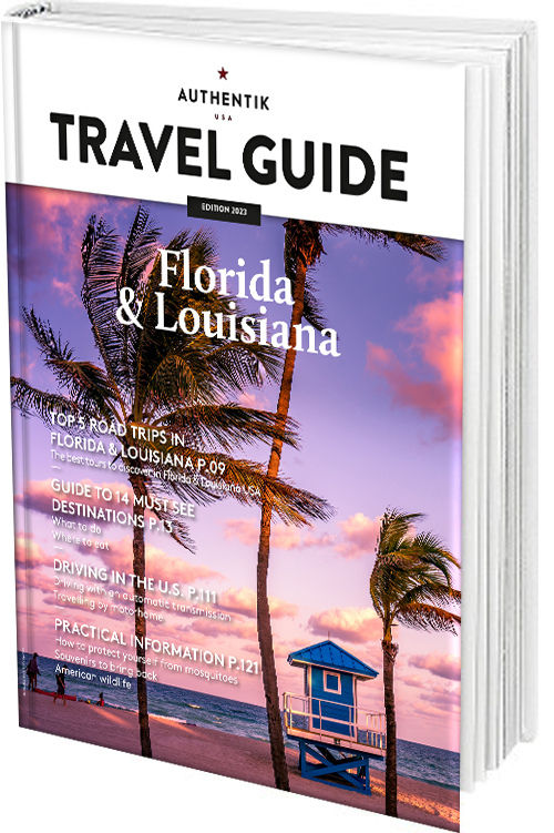 USA Southern States Travel Poster Map Florida Louisiana 