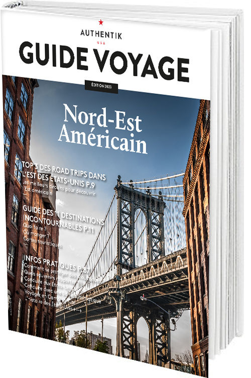 voyage authentik usa